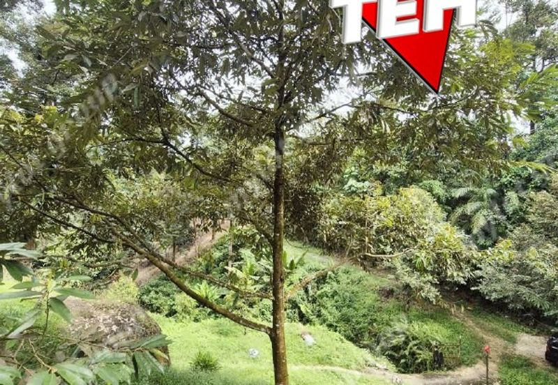 Agriculture Land @ Taiping