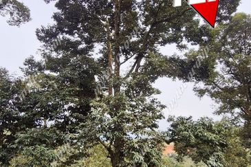 Agriculture Land @ Taiping