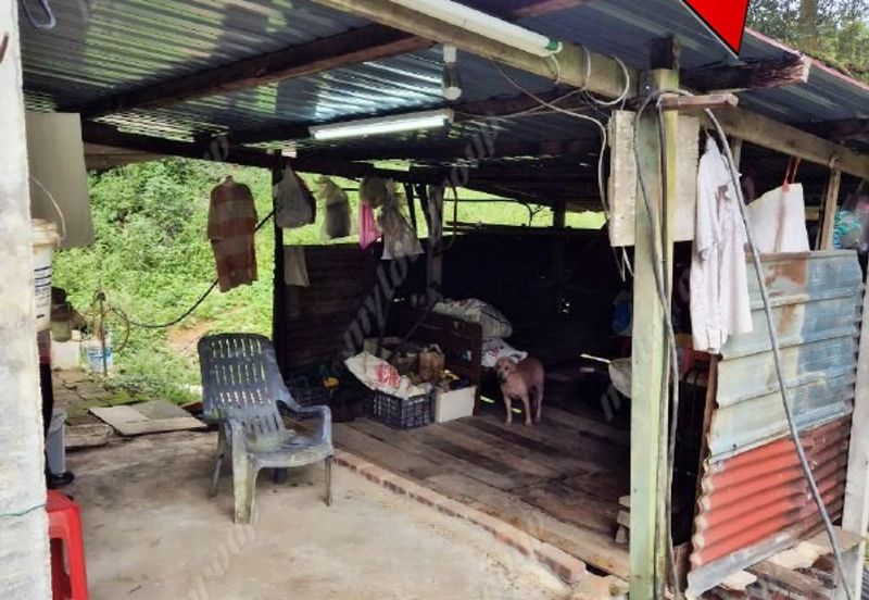 Agriculture Land @ Taiping