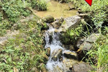 Agriculture Land @ Taiping