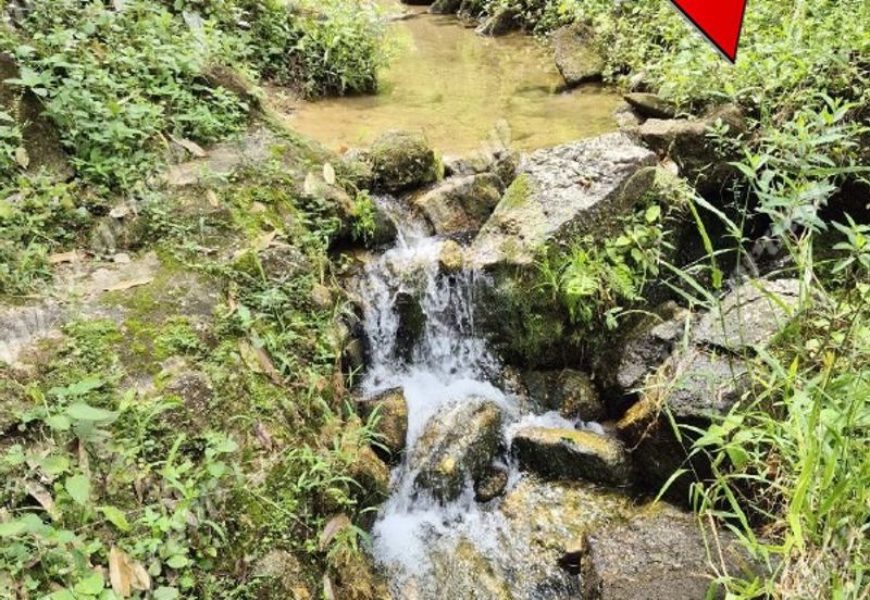 Agriculture Land @ Taiping