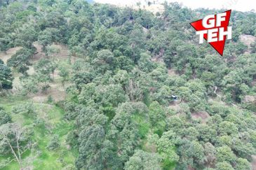 Agriculture Land @ Taiping