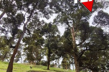 Agriculture Land @ Taiping