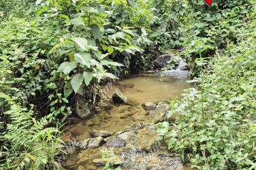 Agriculture Land @ Taiping