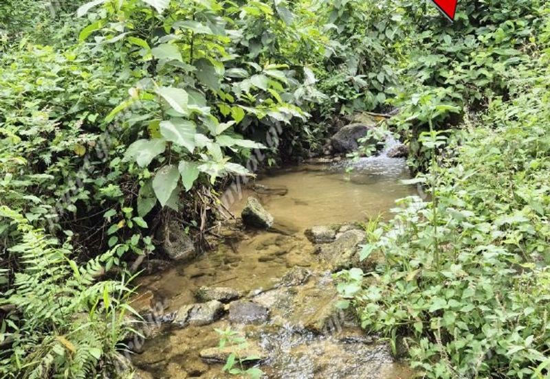 Agriculture Land @ Taiping