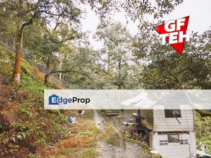 12.61 acres Durian Farm | Mengkuang | Bukit Mertajam | Penang Rm17psf, Penang, Kubang Semang
