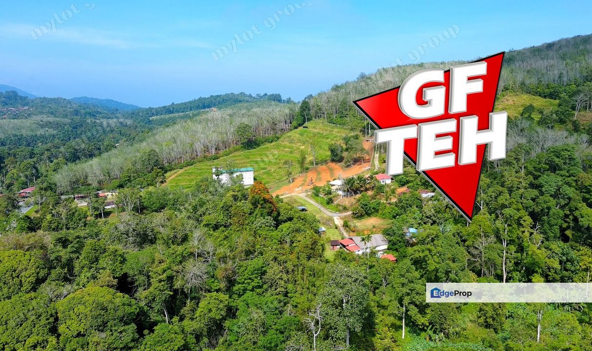 24.16 acre Lowest Price | Agricultural Land | Pengkalan Hulu | Perak Rm1.49 psf, Perak, Hulu Perak