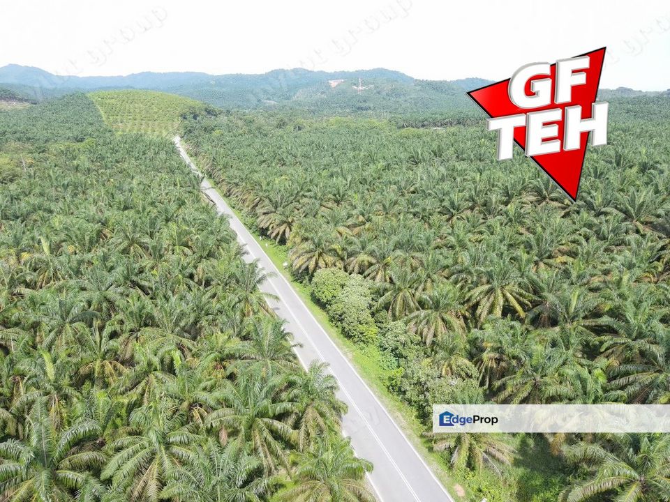 101.175 Acres Agricultural Land | Sungai kob | Karangan | Labu Besar | Kedah b, Kedah, Kulim