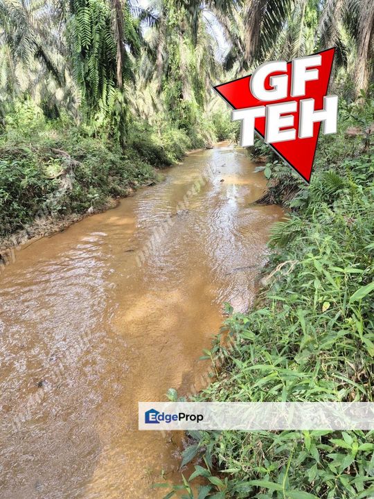 101.175 Acres Agricultural Land | Sungai kob | Karangan | Labu Besar | Kedah b, Kedah, Kulim