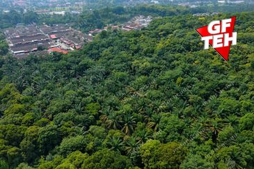 TAMAN KULIM TECHNOCITY FASA 3