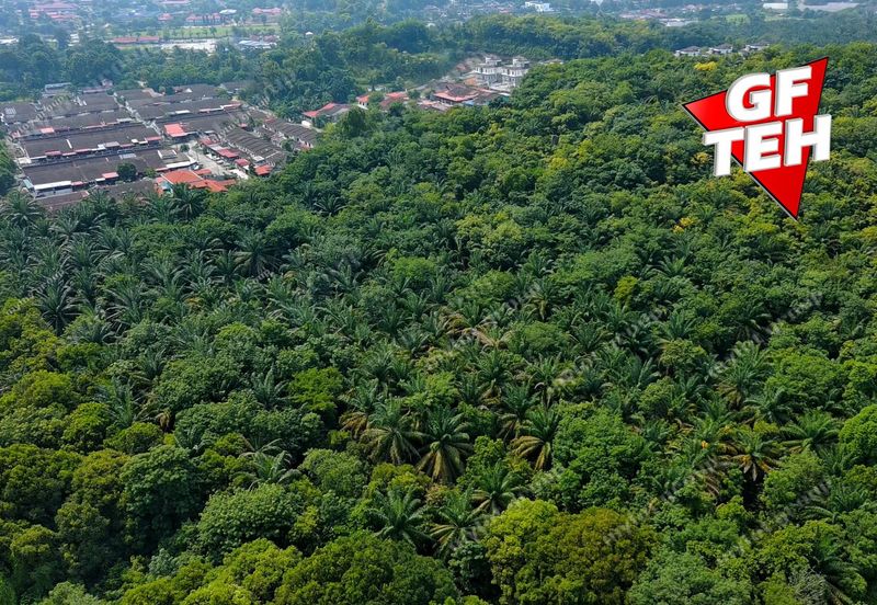 TAMAN KULIM TECHNOCITY FASA 3