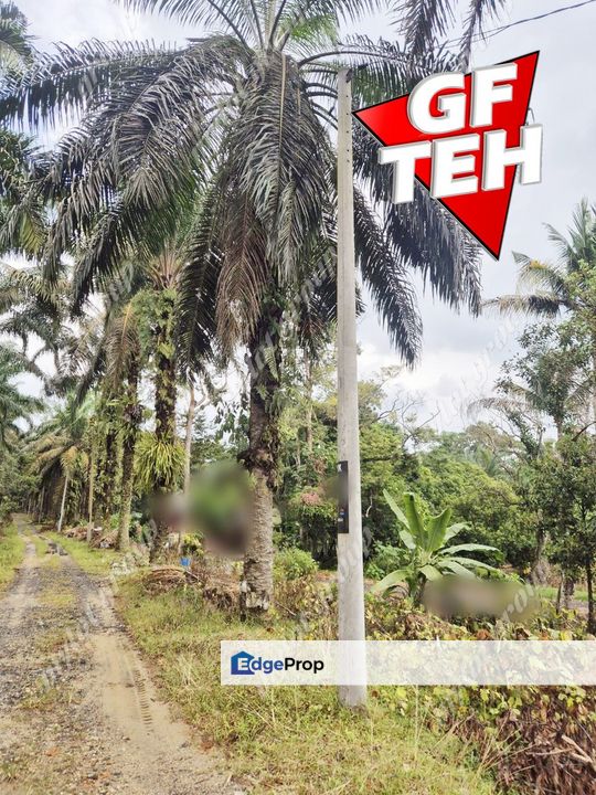15.07 acres Oil Palm Plantation Mahang | Kulim | Kedah b, Kedah, Kulim