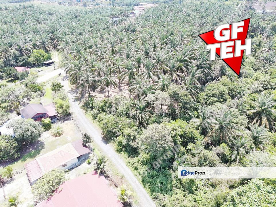 15.07 acres Oil Palm Plantation Mahang | Kulim | Kedah b, Kedah, Kulim