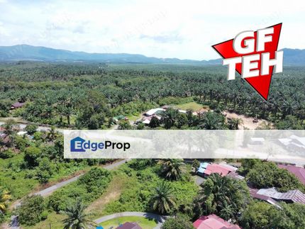 15.07 acres Oil Palm Plantation Mahang | Kulim | Kedah Rm2.84psf b, Kedah, Kulim