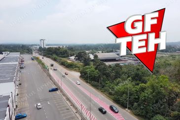 Taman Desa Ara (Ara Kuda)