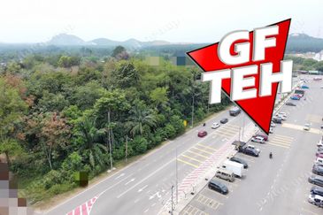 Taman Desa Ara (Ara Kuda)