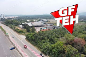 Taman Desa Ara (Ara Kuda)