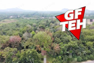 Taman Desa Ara (Ara Kuda)