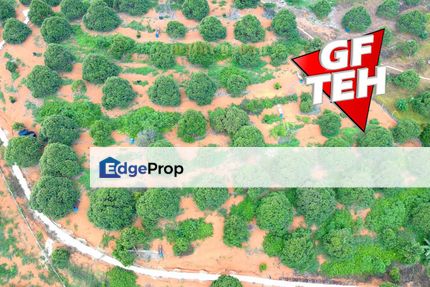 4.27 acres Worth to Invest | Residential Land | Musang King & Black Thorn Durian Farm | Kuala Kangsar | Perak RM9.14psf, Perak, Ipoh