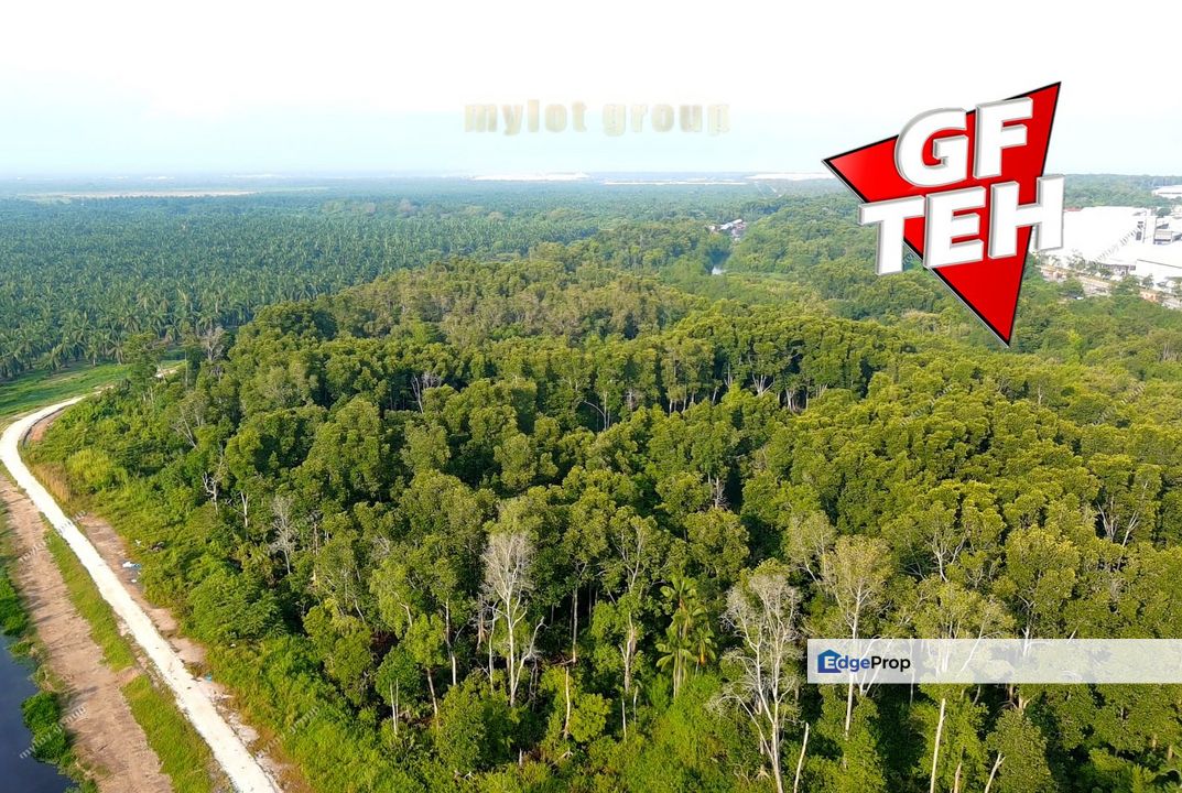 34.99 acres Lowest price | Industrial Land | Indusrtial Zone Batu Kawan | Penang Rm35psf, Penang, Simpang Ampat