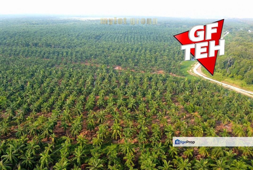 34.99 acres Lowest price | Industrial Land | Indusrtial Zone Batu Kawan | Penang Rm35psf, Penang, Simpang Ampat