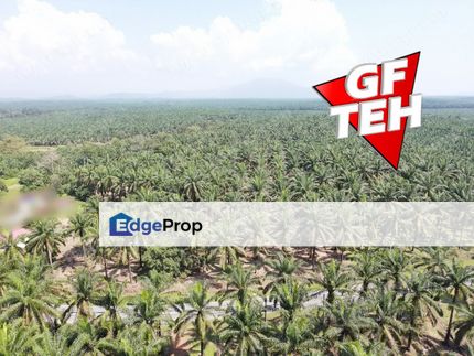 10.38 Acres Agricultural Land | Beside Main road | Selama | Perak | Rm6psf b, Perak, Selama