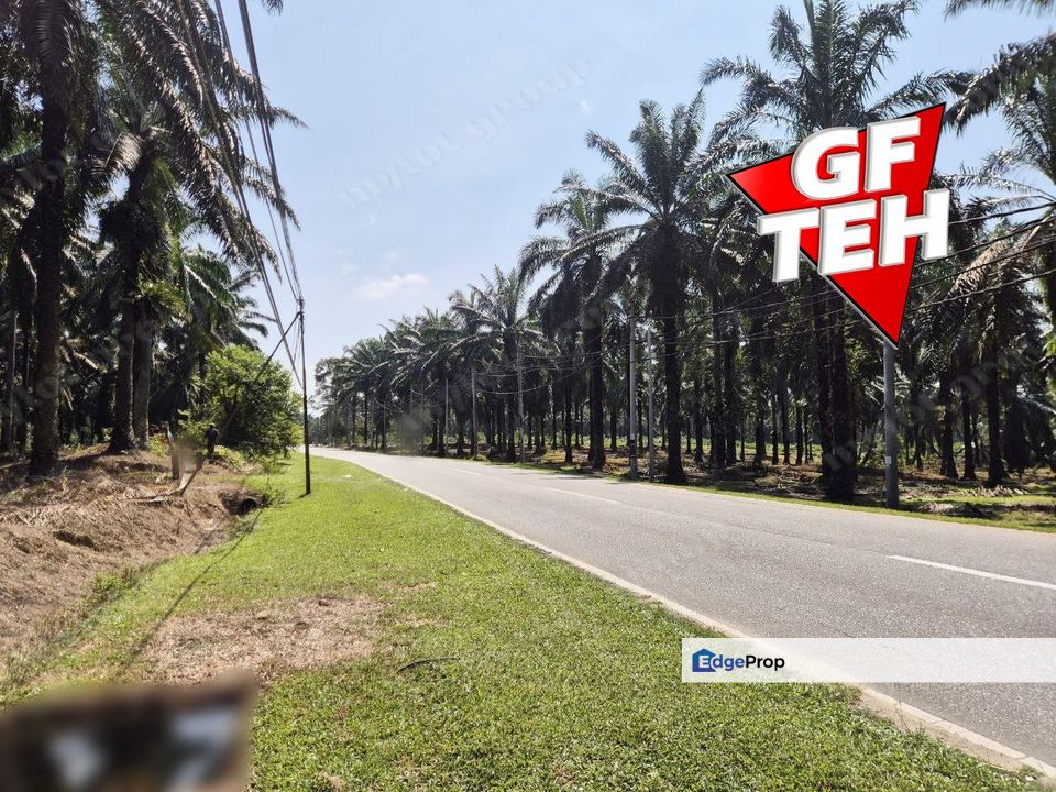 10.38 Acres Agricultural Land | Beside Main road | Selama | Perak b, Perak, Selama