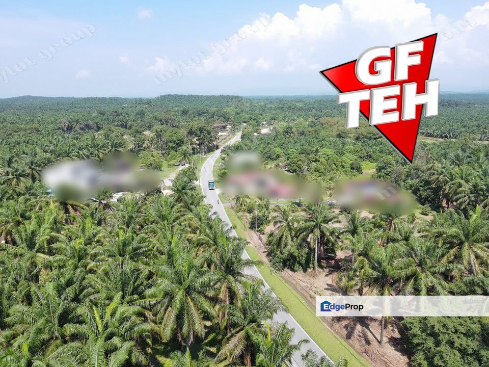 10.38 Acres Agricultural Land | Beside Main road | Selama | Perak b, Perak, Selama