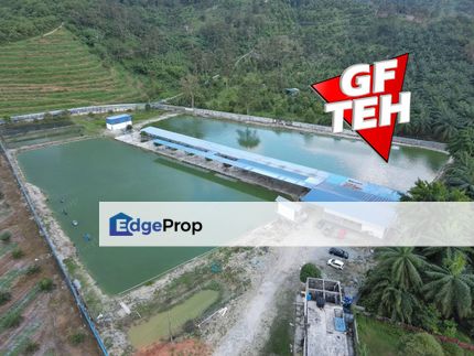 6.356 acres Large freshwater fish fishing spot for sale | Taiping | Perak b, Perak, Taiping