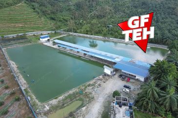 Agriculture Land @ Taiping