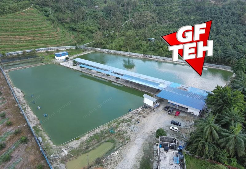 Agriculture Land @ Taiping