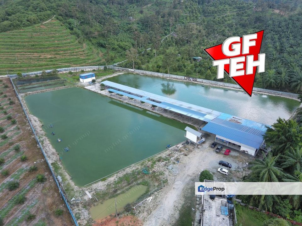 6.36 acre Large freshwater fish fishing spot for sale | Taiping | Perak Rm13.73psf b, Perak, Taiping