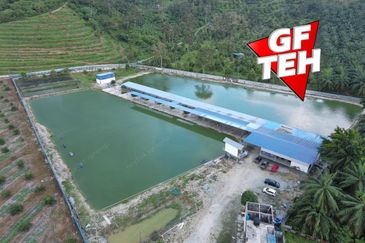 Agriculture Land @ Taiping