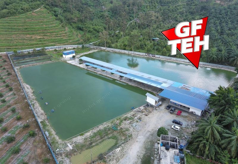 Agriculture Land @ Taiping