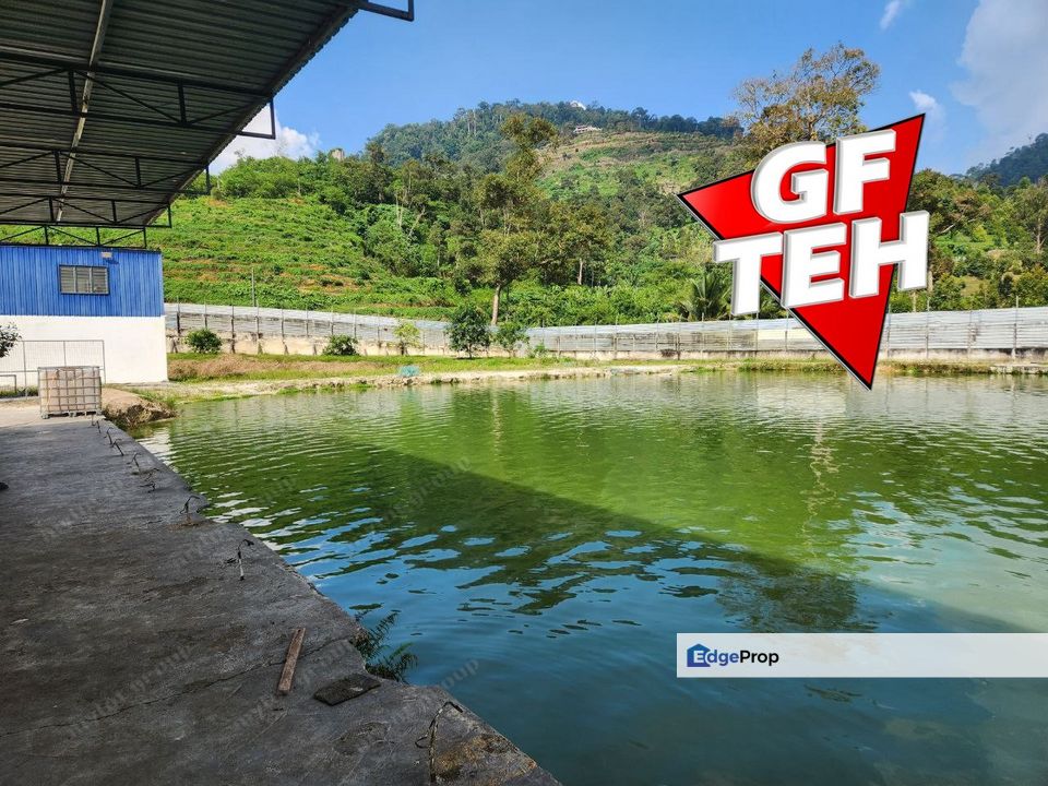 6.36 acre Large freshwater fish fishing spot for sale | Taiping | Perak Rm13.73psf b, Perak, Taiping