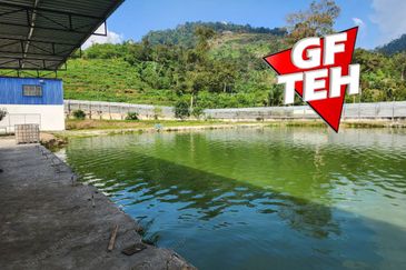 Agriculture Land @ Taiping