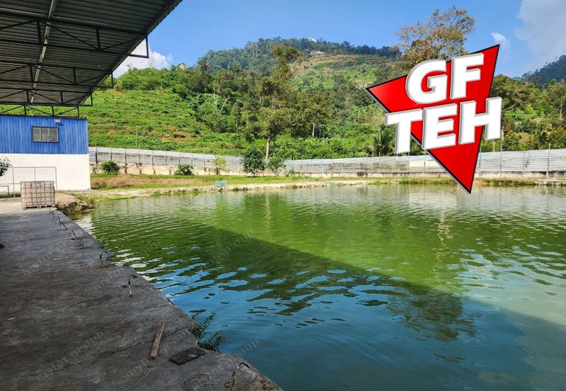 Agriculture Land @ Taiping