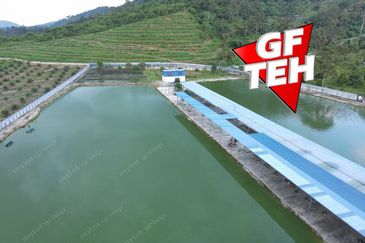 Agriculture Land @ Taiping