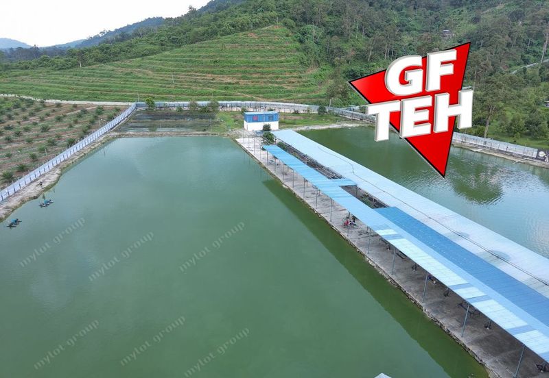 Agriculture Land @ Taiping