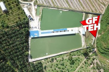 Agriculture Land @ Taiping