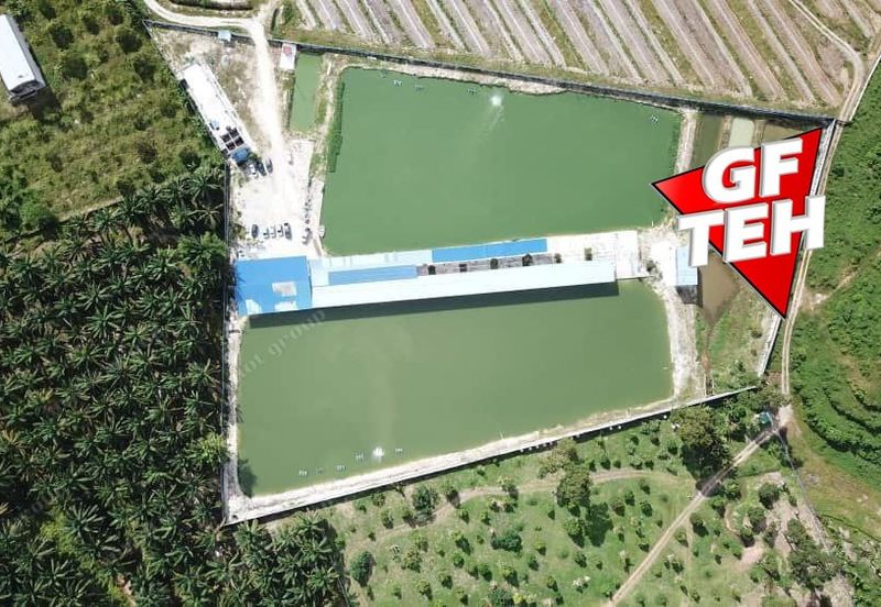 Agriculture Land @ Taiping