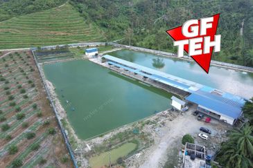 Agriculture Land @ Taiping