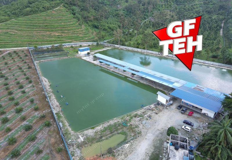 Agriculture Land @ Taiping