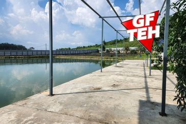 Agriculture Land @ Taiping