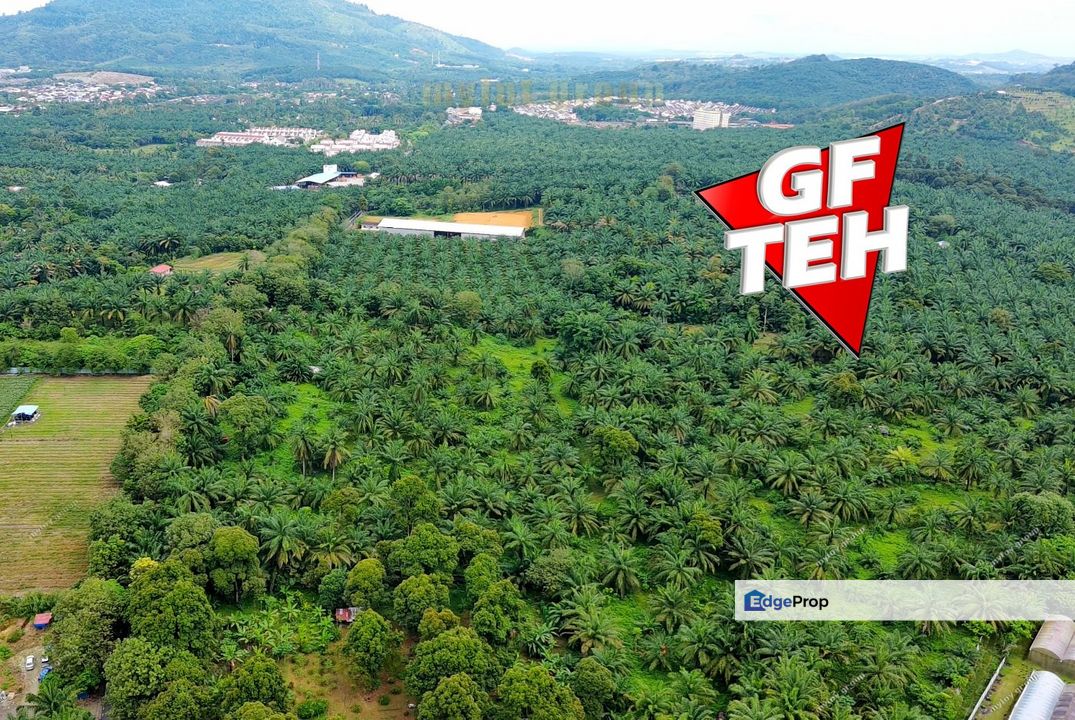 16.15 acre Agricultural Land | 350m from main road | near Bukit Teh | Bukit Mertajam Rm25psf, Penang, Bukit Mertajam