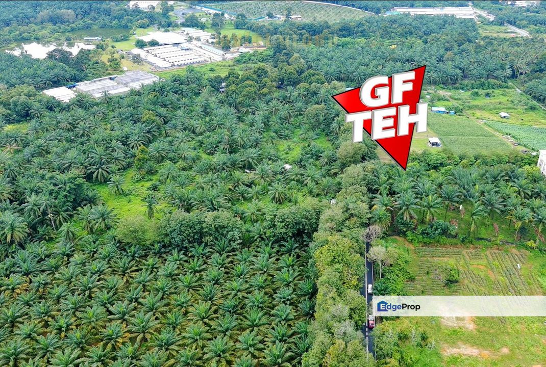 16.15 acre Agricultural Land | 350m from main road | near Bukit Teh | Bukit Mertajam Rm25psf, Penang, Bukit Mertajam