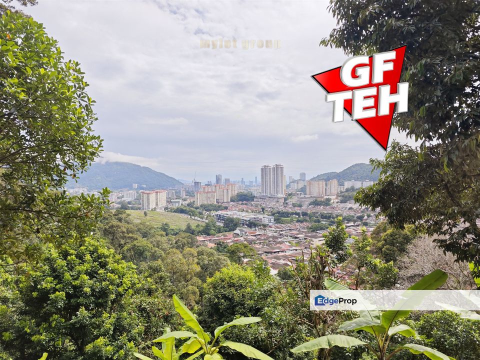 3.10 acres First Grade | Durian Farm | Paya Terubong | Air Itam | Penang RM20psf, Penang, Ayer Itam