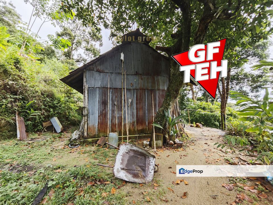 3.69 acres First Grade | Durian Farm | Paya Terubong | Air Itam | Penang Rm20psf, Penang, Ayer Itam