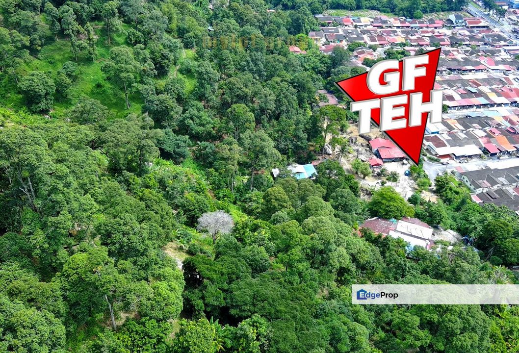 3.69 acres First Grade | Durian Farm | Paya Terubong | Air Itam | Penang Rm20psf, Penang, Ayer Itam
