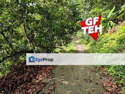 3.69 acres First Grade | Durian Farm | Paya Terubung | Air Itam | Penang Rm40psf, Penang, Ayer Itam